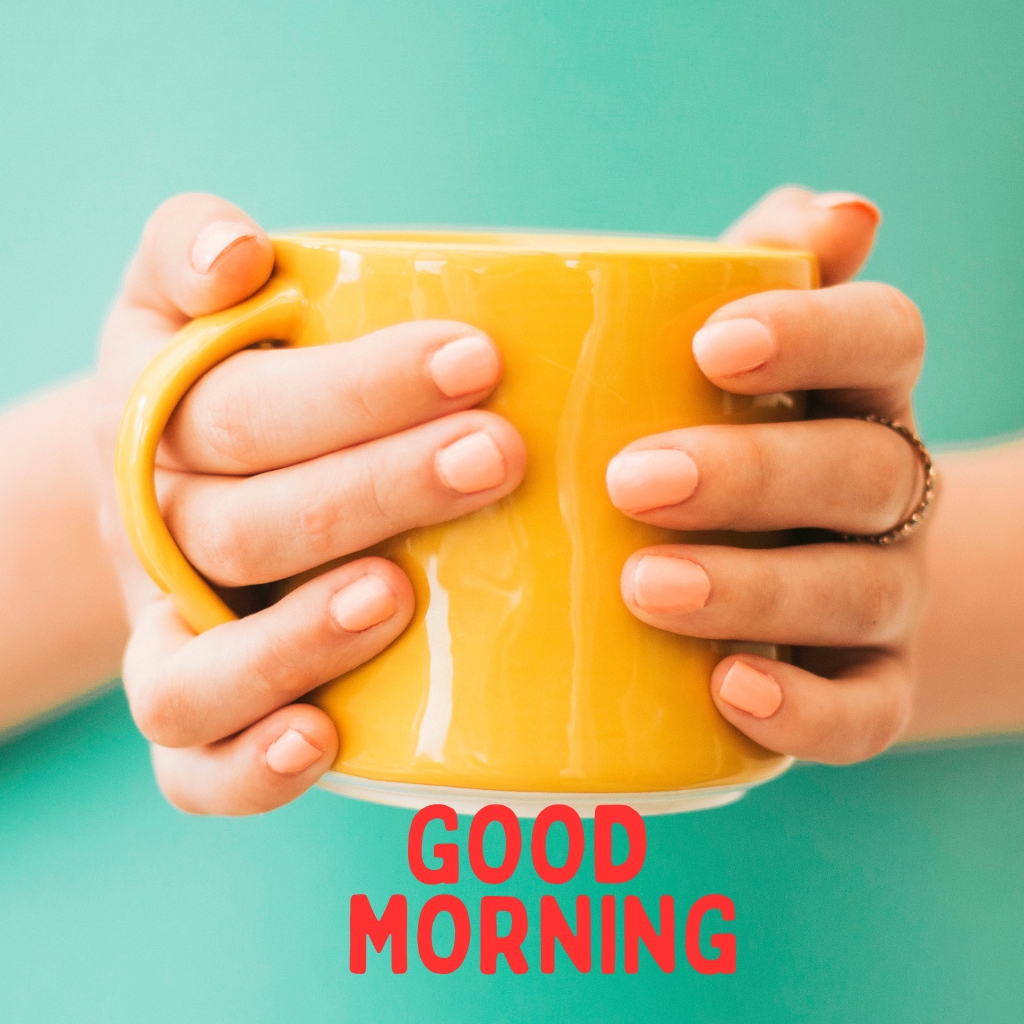 Good Morning Tea photo Download