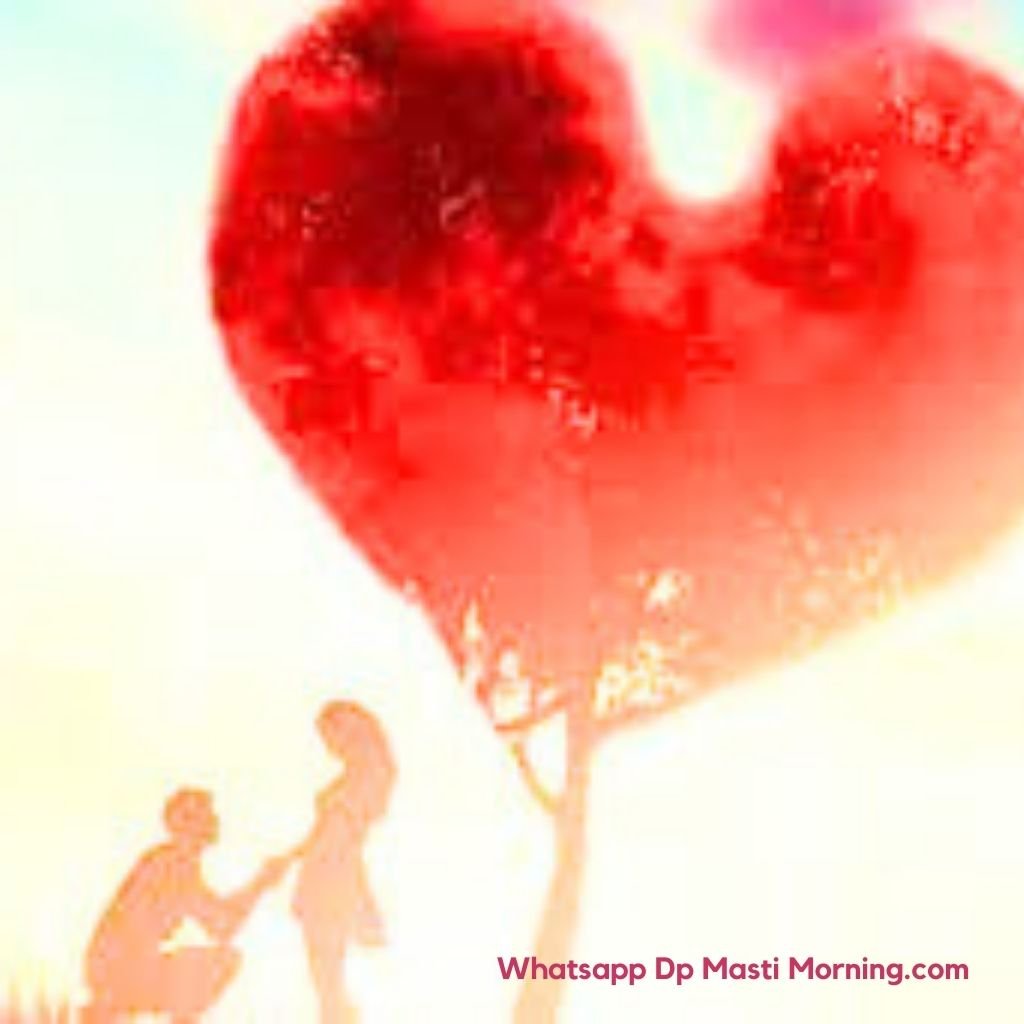Couple HD Honeymoon whatsapp dp Images Pics New Download