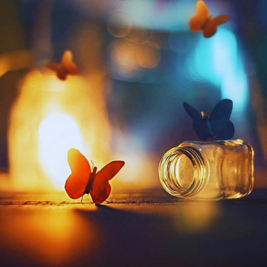 DP for Instagram Wallpaper pics With Butterfly
