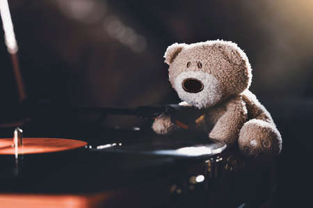 Download HD teddy bear dp Pics