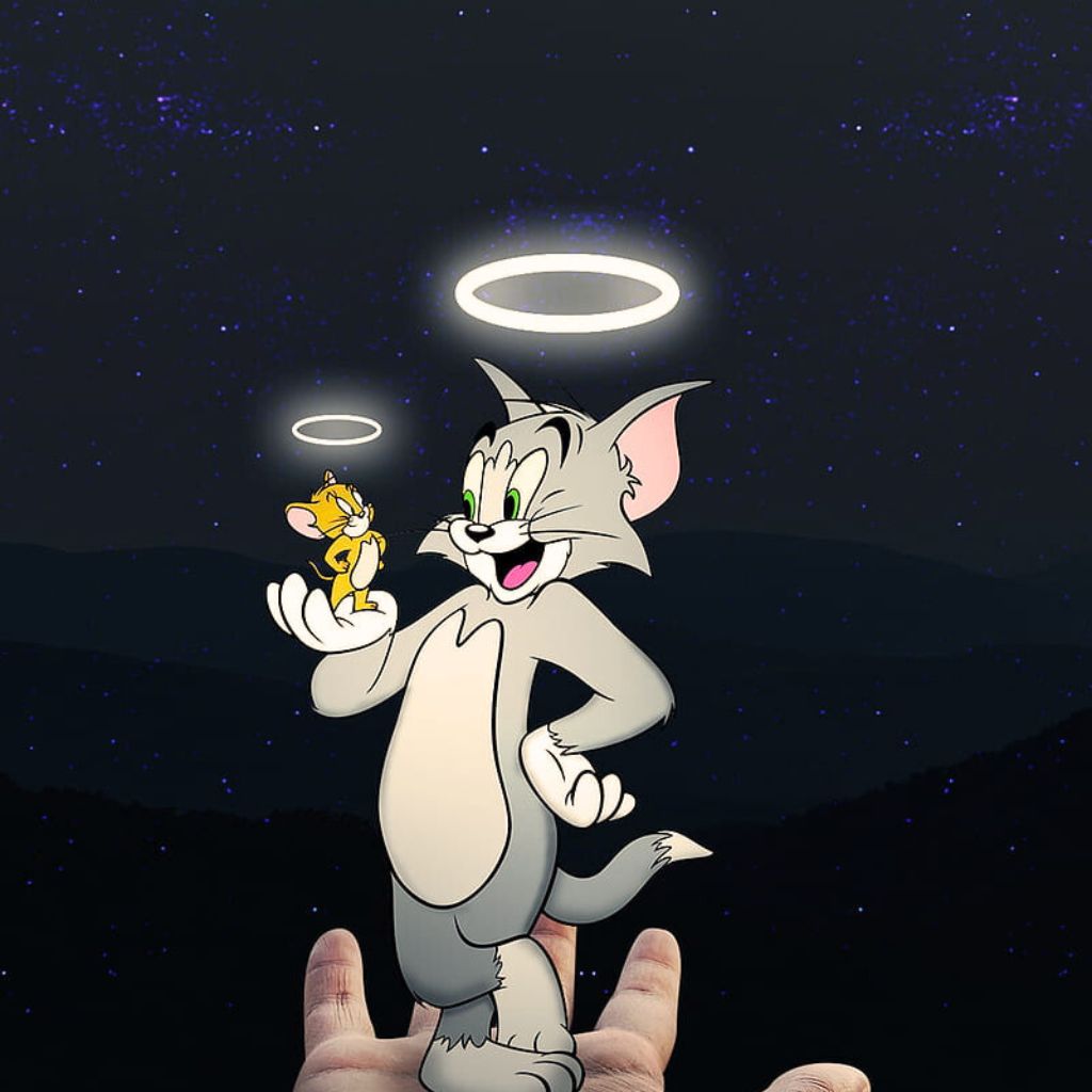 Download HD tom and jerry dp Pics Images (2)