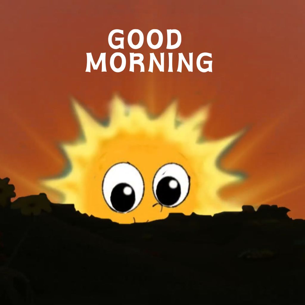 Free Good Morning 4k HD Pictures
