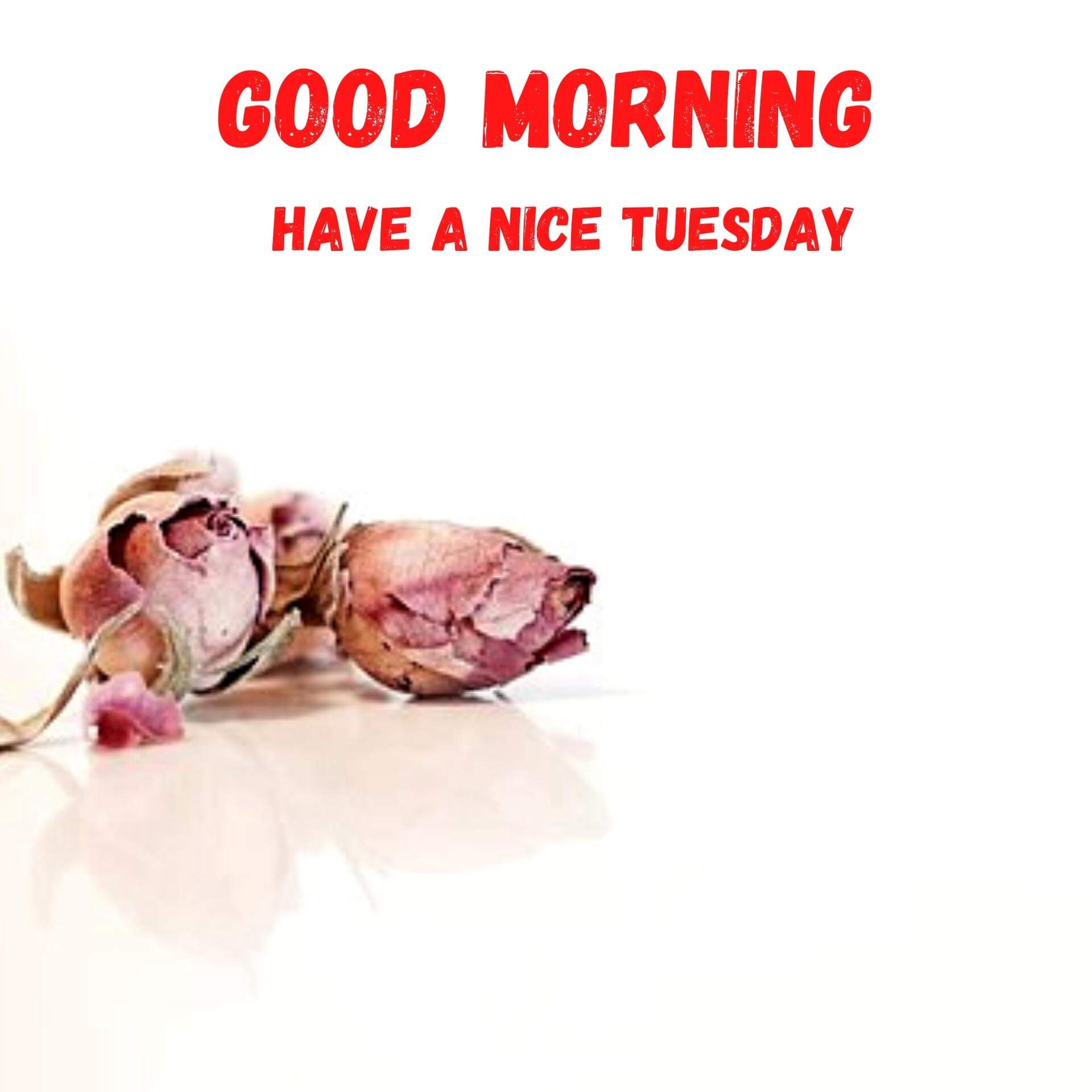 Free HD Tuesday good morning Images Download