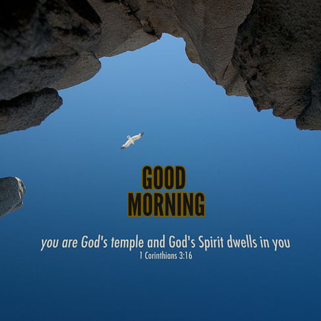 Good Morning Bible Verses Wallpaper New Download