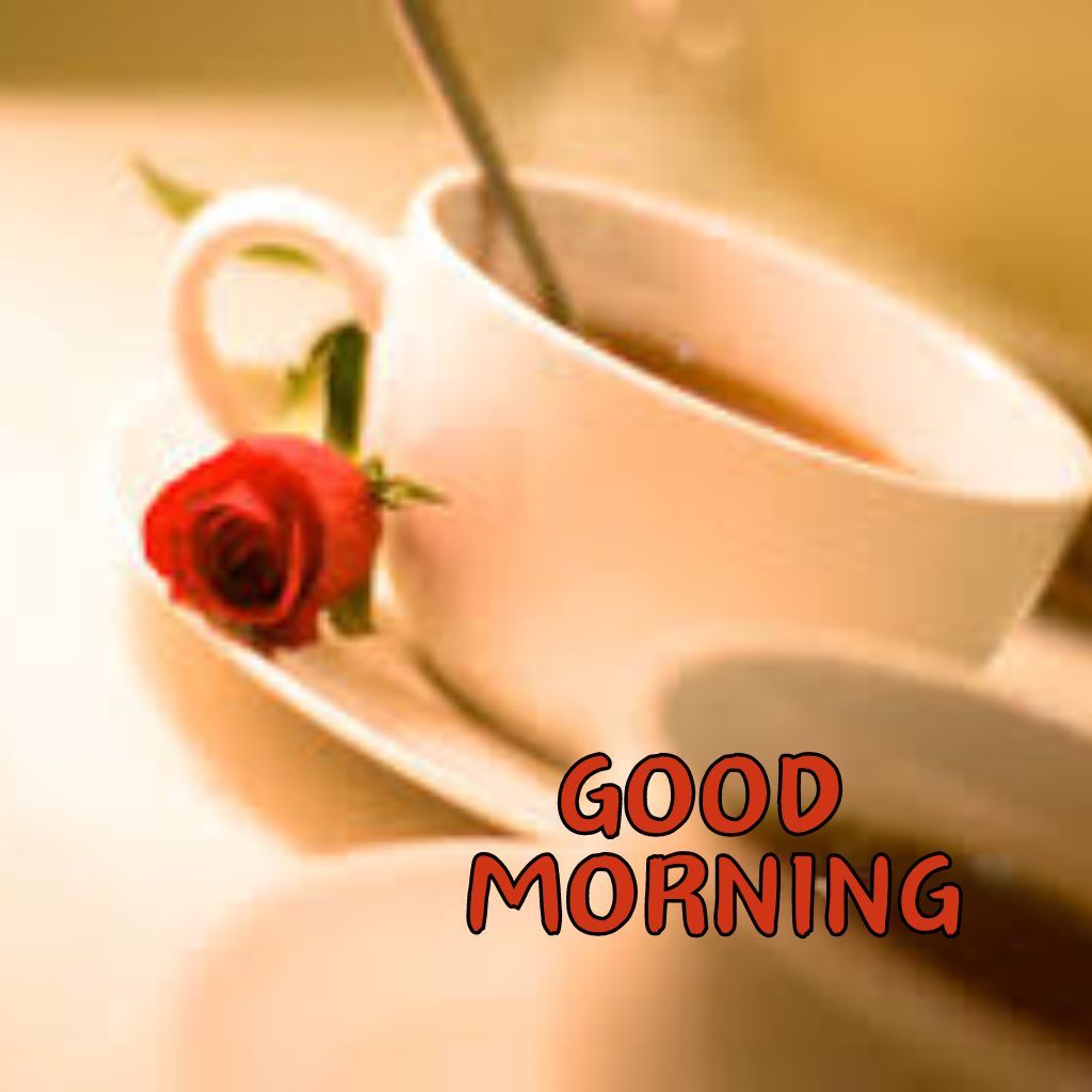 Good Morning Coffee and Rose Photo hd