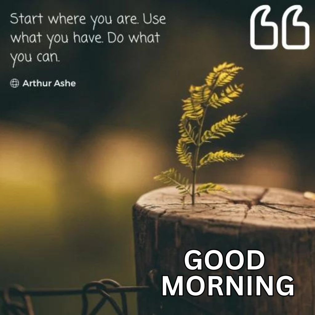 Good Morning Images In English Wallpaper 2023