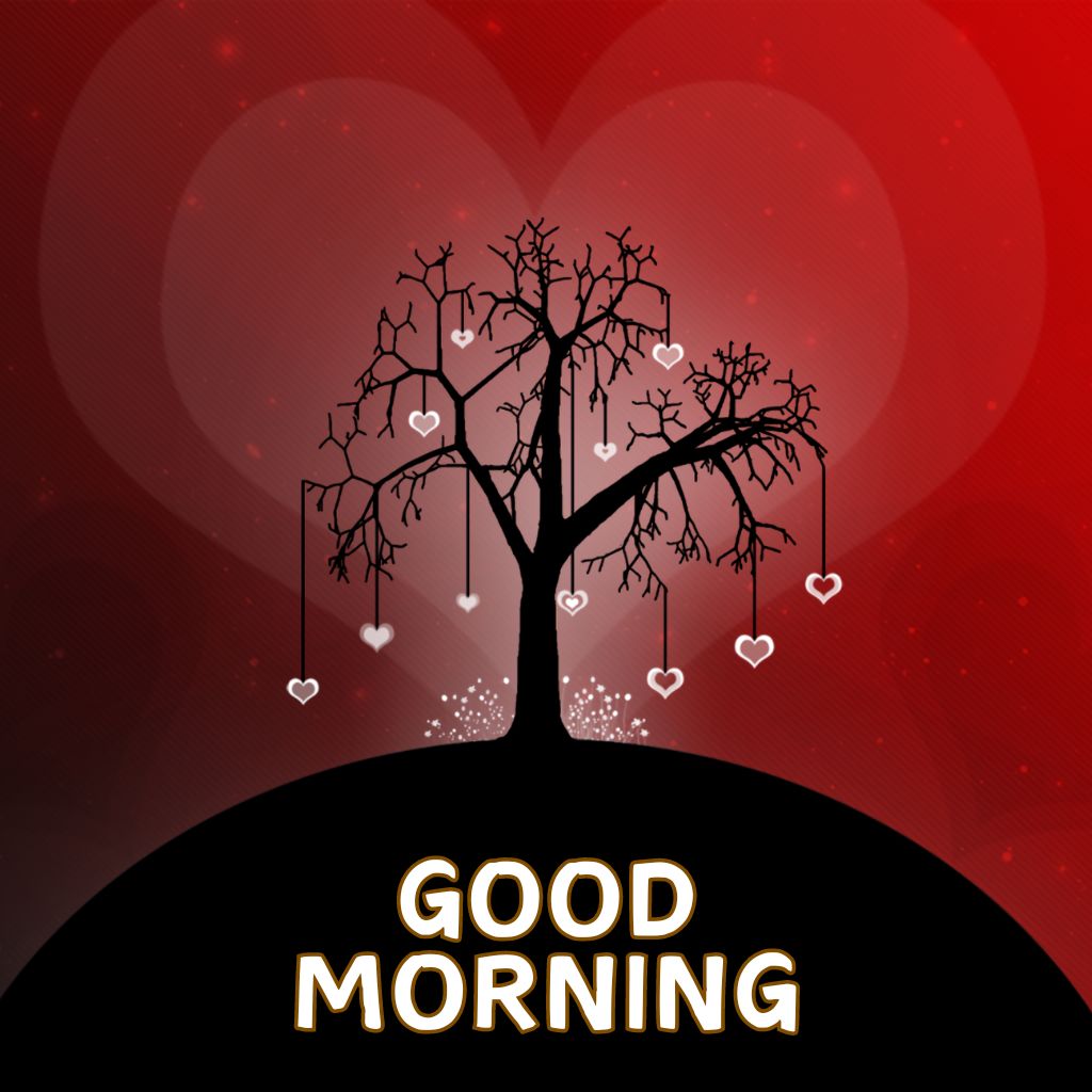 Good Morning My Love Gif Wallpaper Download 2023