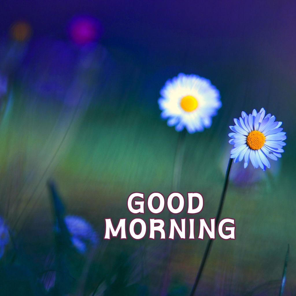 Good Morning Wishes Pics new Download