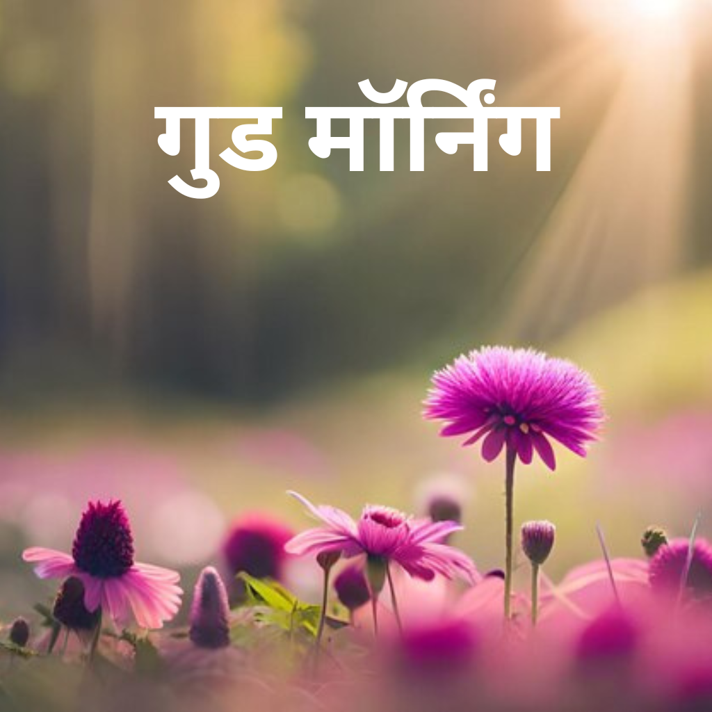 Hindi Font Good Morning Images