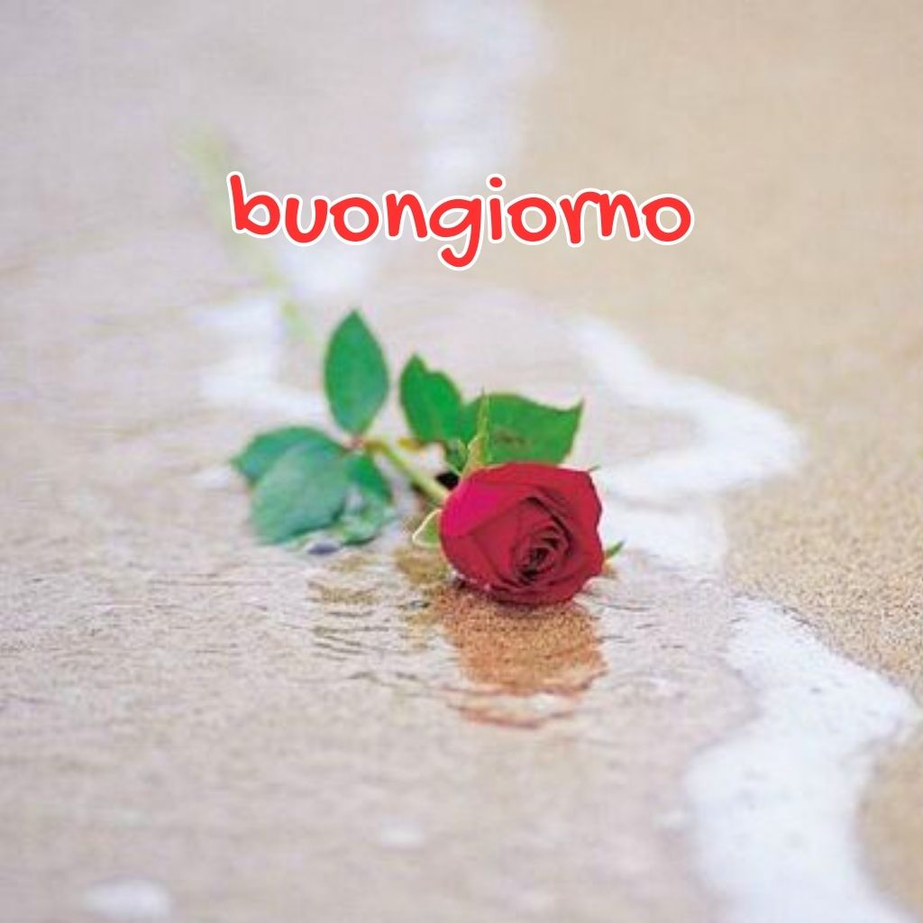 Image of Buongiorno sereno