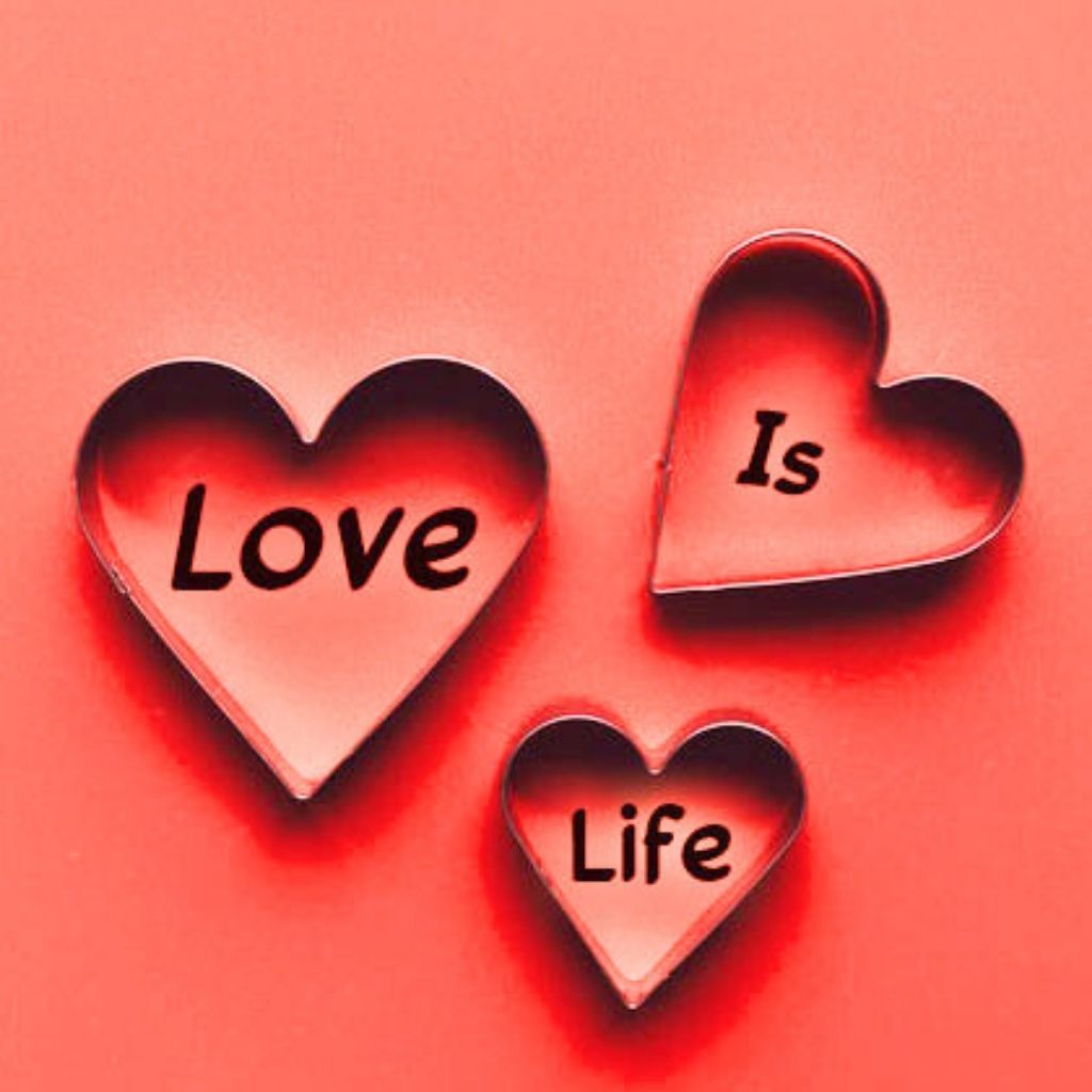 Love is Life Best DP Images Photo for Whatsapp