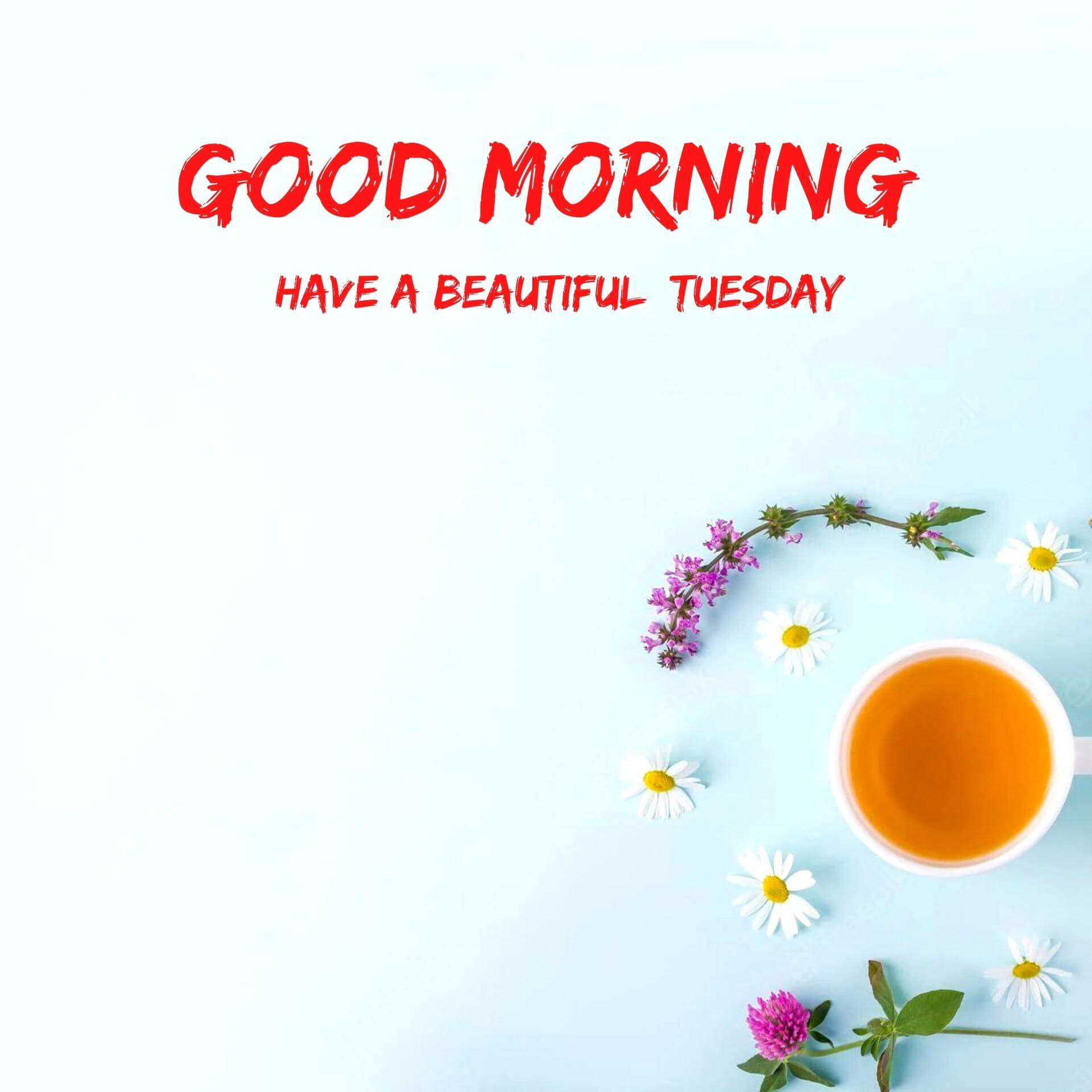 New Best HD Tuesday good morning Wallpaper Download