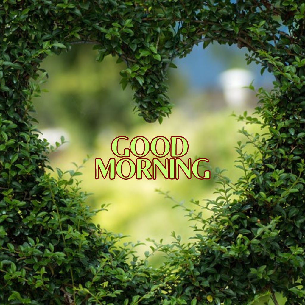 New HD Good Morning Sweetheart Images photo
