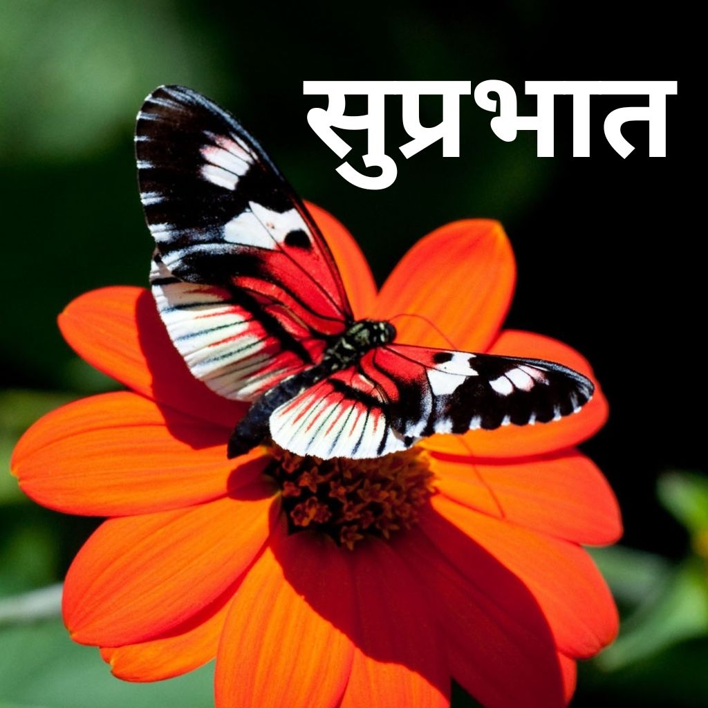 Suprabhat Images