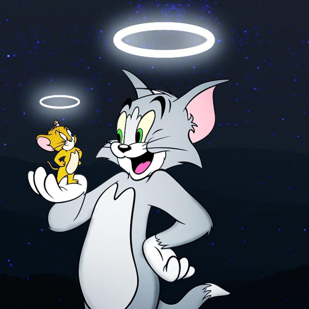 Tom and Jerry Dp