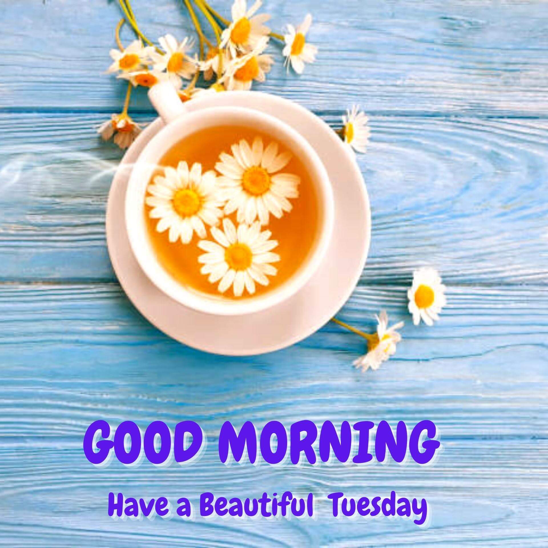 Tuesday good morning Wallpaper Pics With Tea