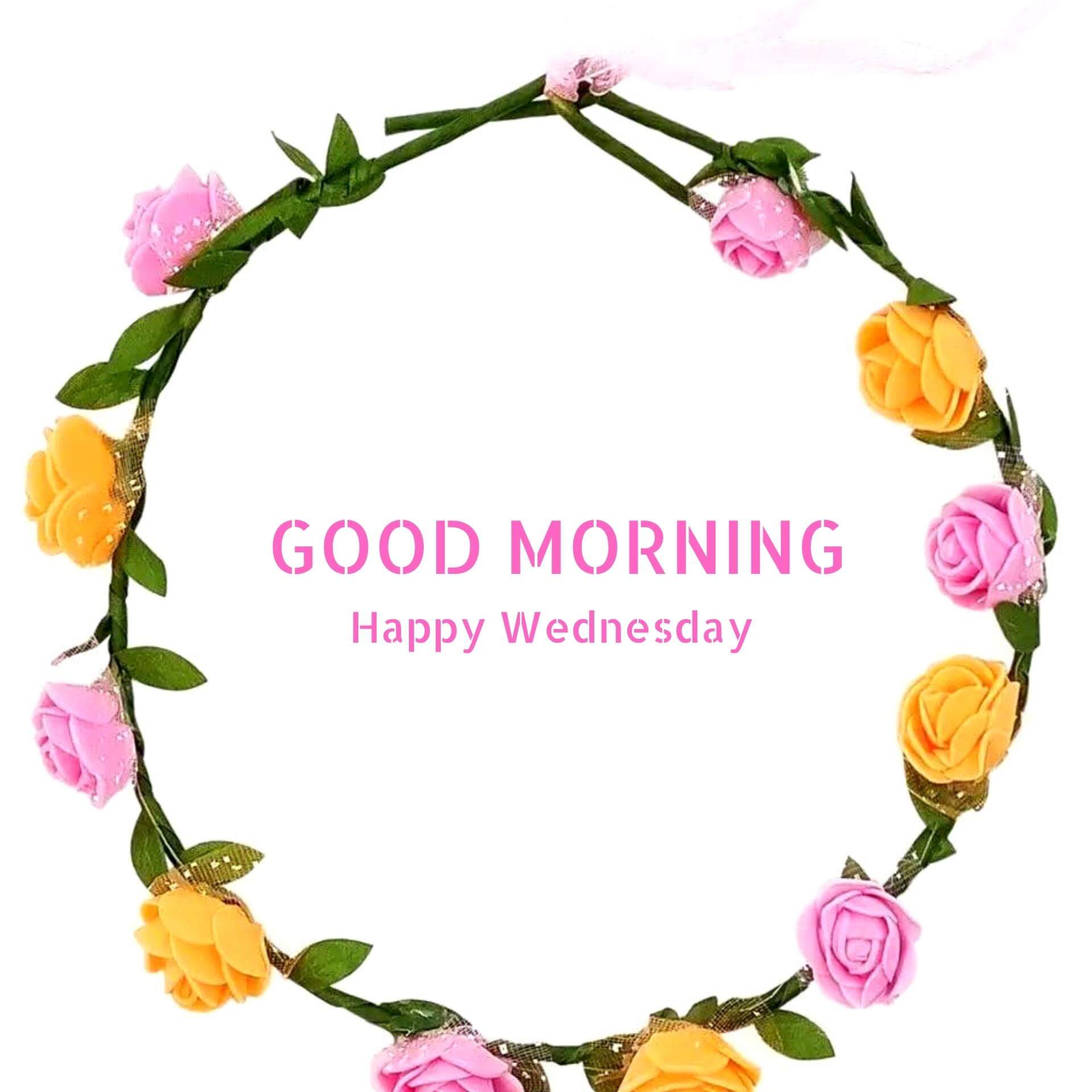 Wednesday good morning Pics New HD Download