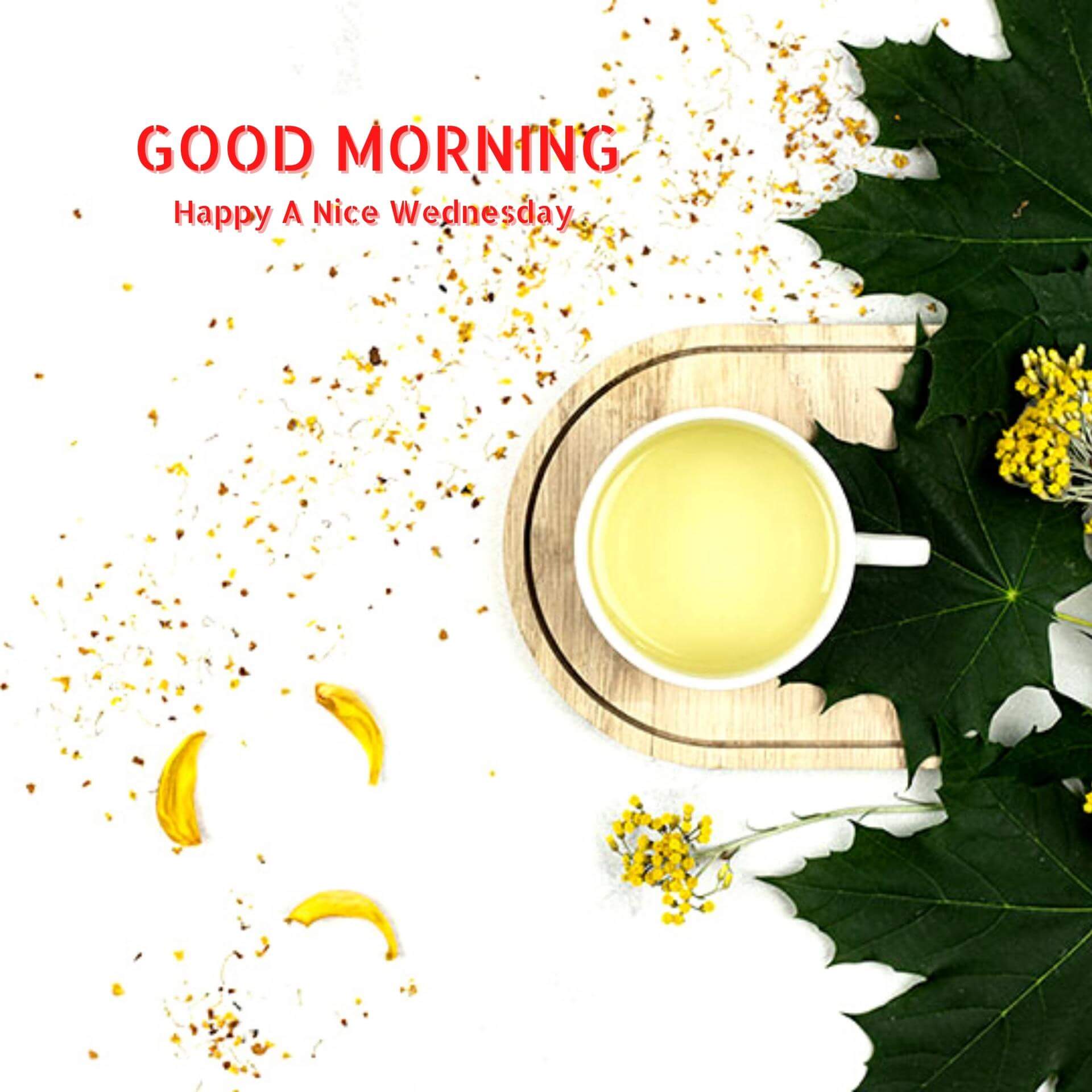 Wednesday good morning Pics Wallpaper New Download