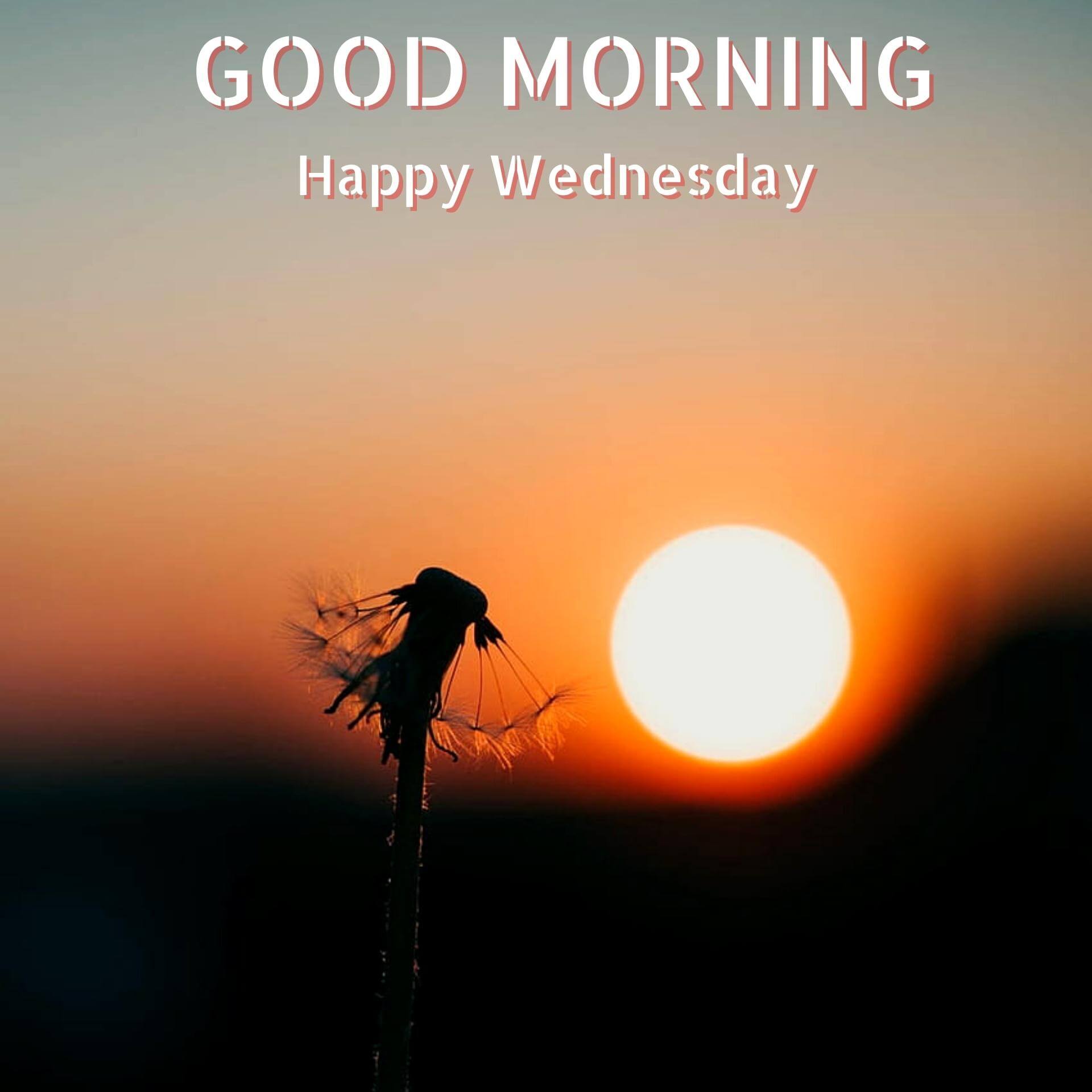 Wednesday good morning Pics Wallpaper With Sunrise (2)