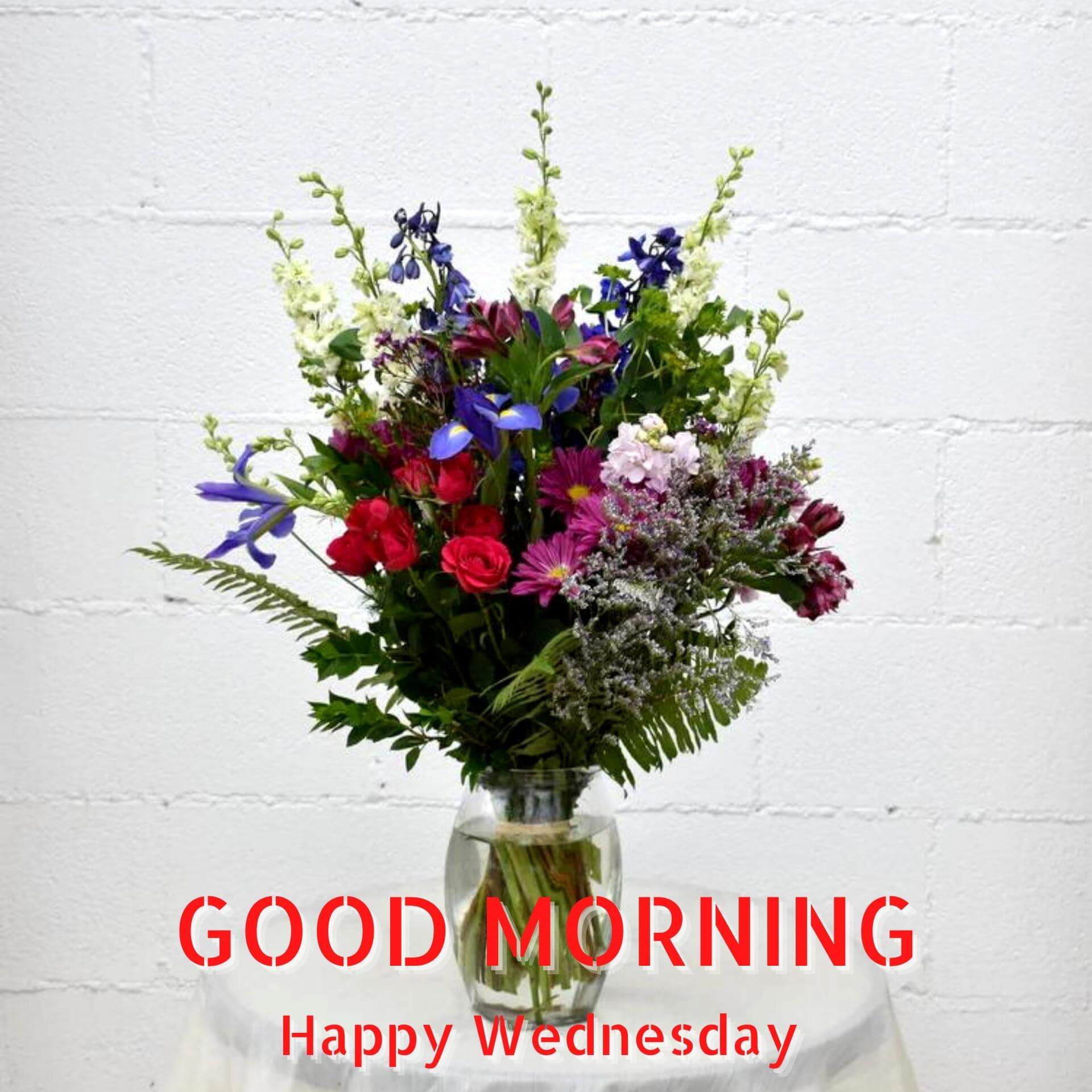 Wednesday good morning Wallpaper Photo Download