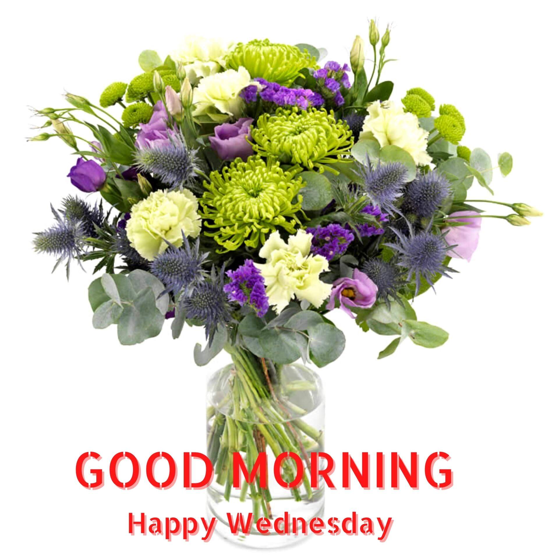 Wednesday good morning Wallpaper photo With Flower