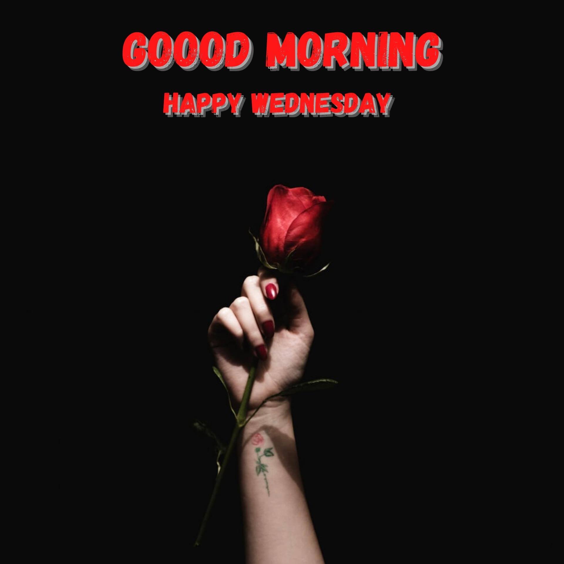 Wednesday good morning photo Download (2)
