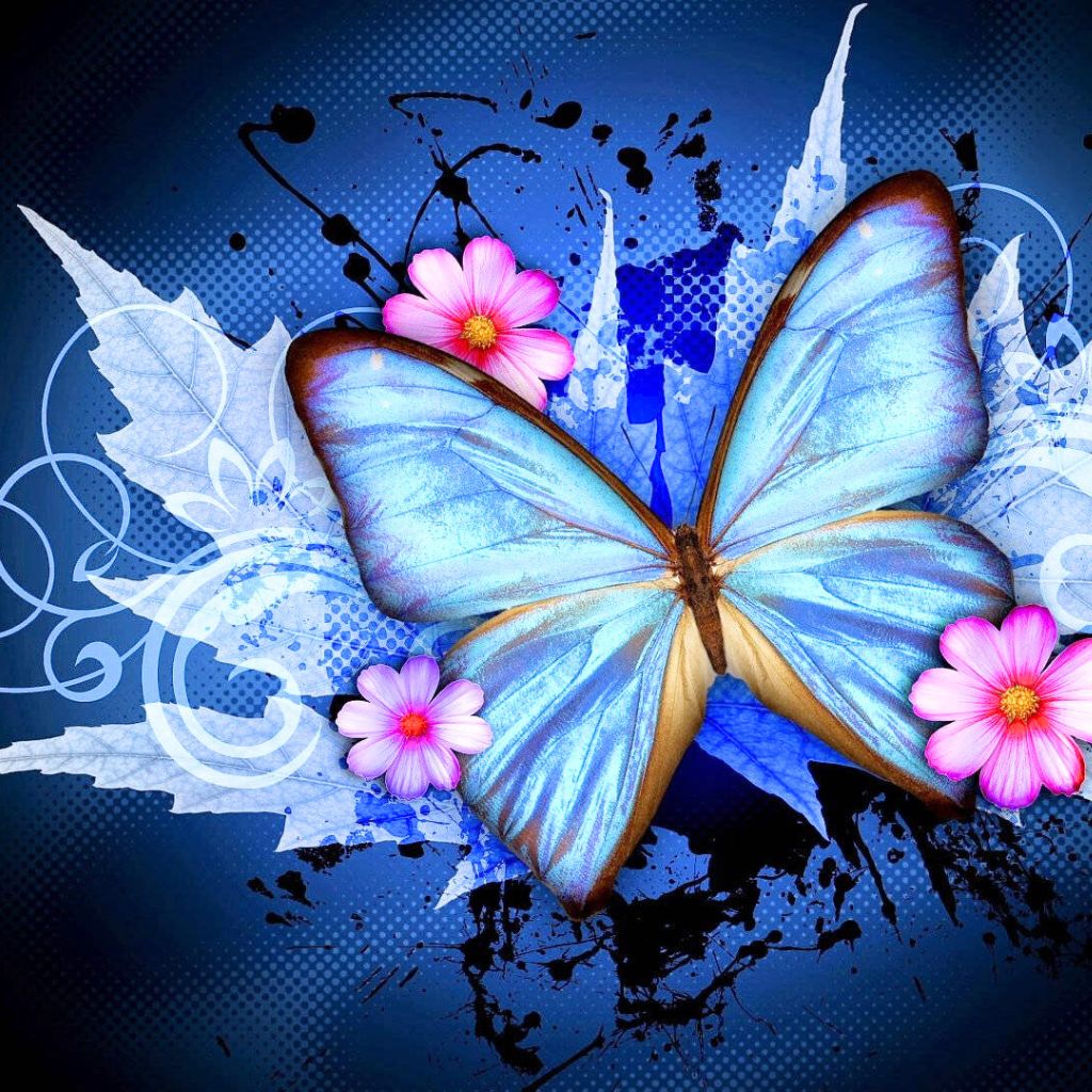 princess butterfly dp for whatsapp Images