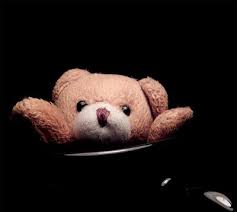 teddy bear dp Wallpaper Pics images