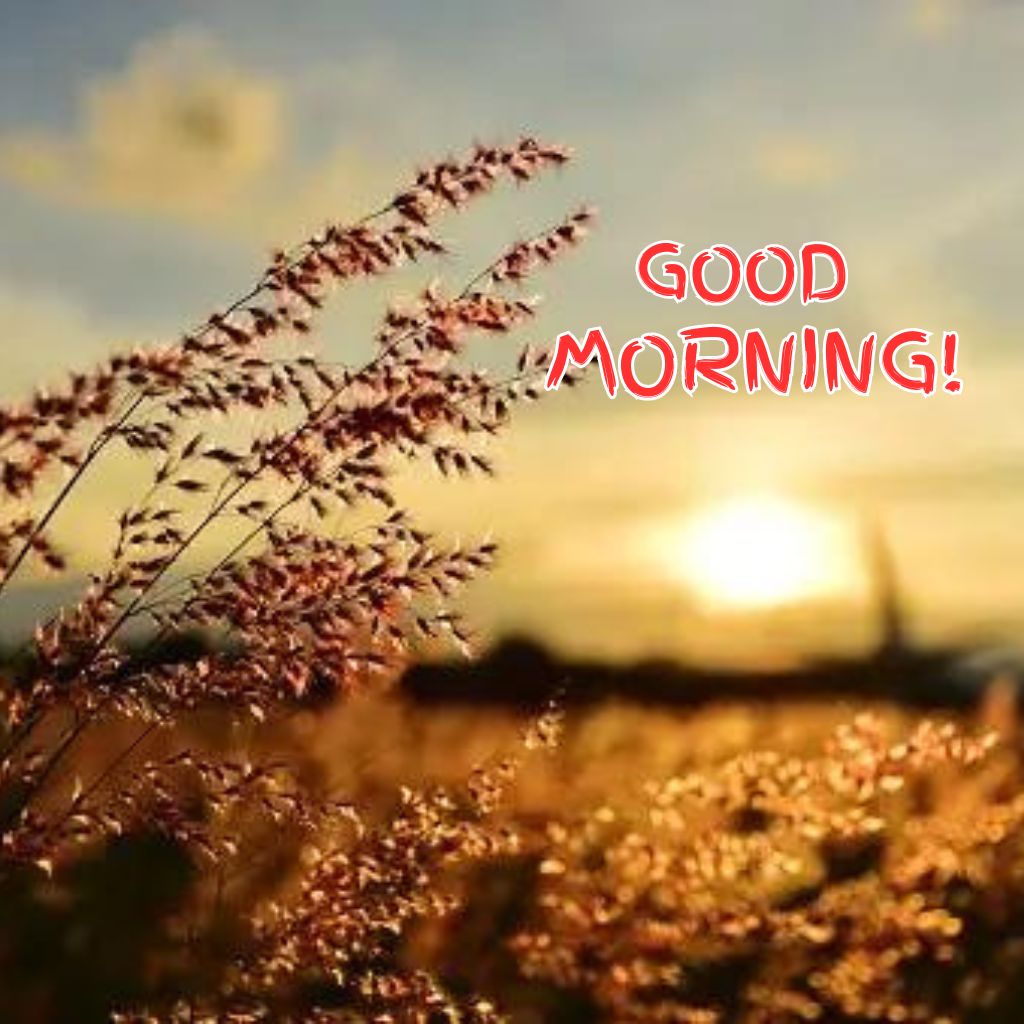 images of good morning beautiful