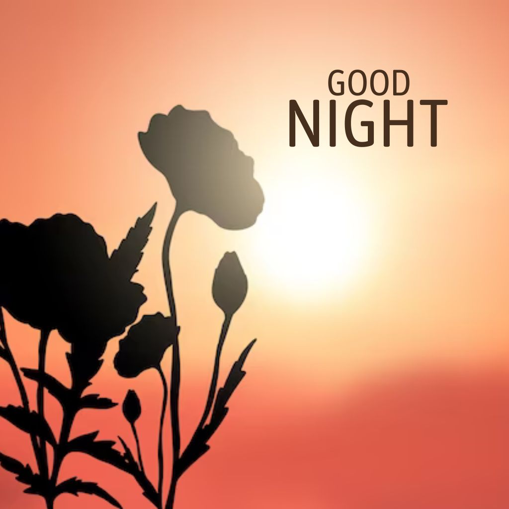 images of good night love